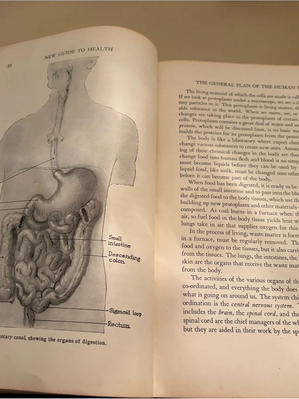 Guide to Health Vintage Dark Green Hardcover Book